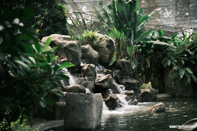 Waterfall Fountain Bird Park