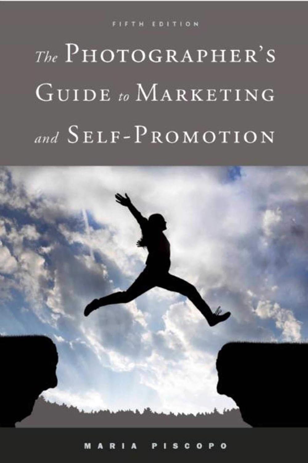The Photographers Guide To Marketing Self Promotion - Maria Piscopo - Best Business Marketing Photography Books